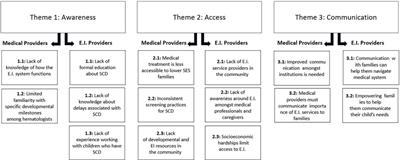 Awareness, access, and communication: provider perspectives on early intervention services for children with sickle cell disease